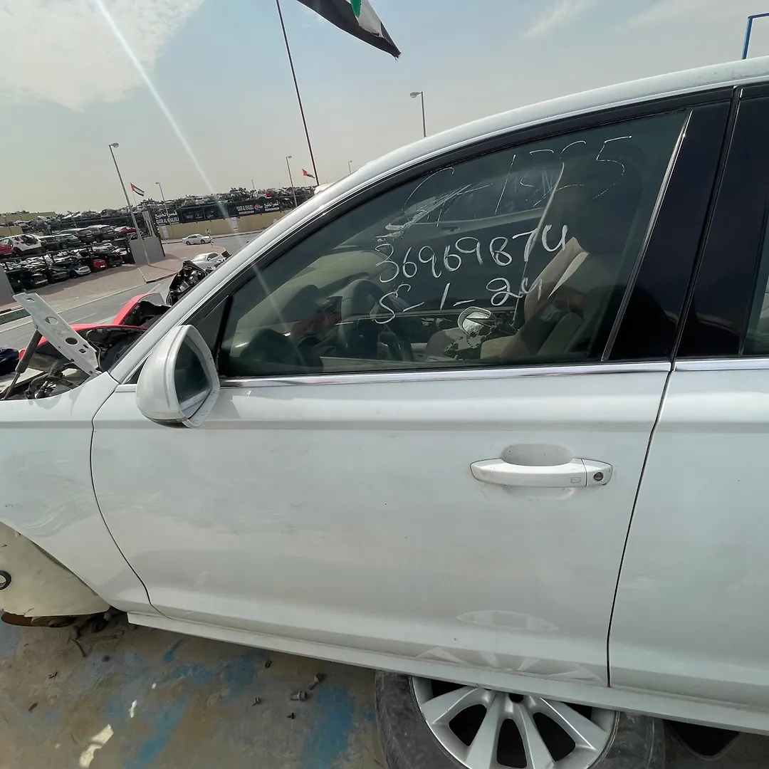 Door (LHF) - 2016 Audi A6