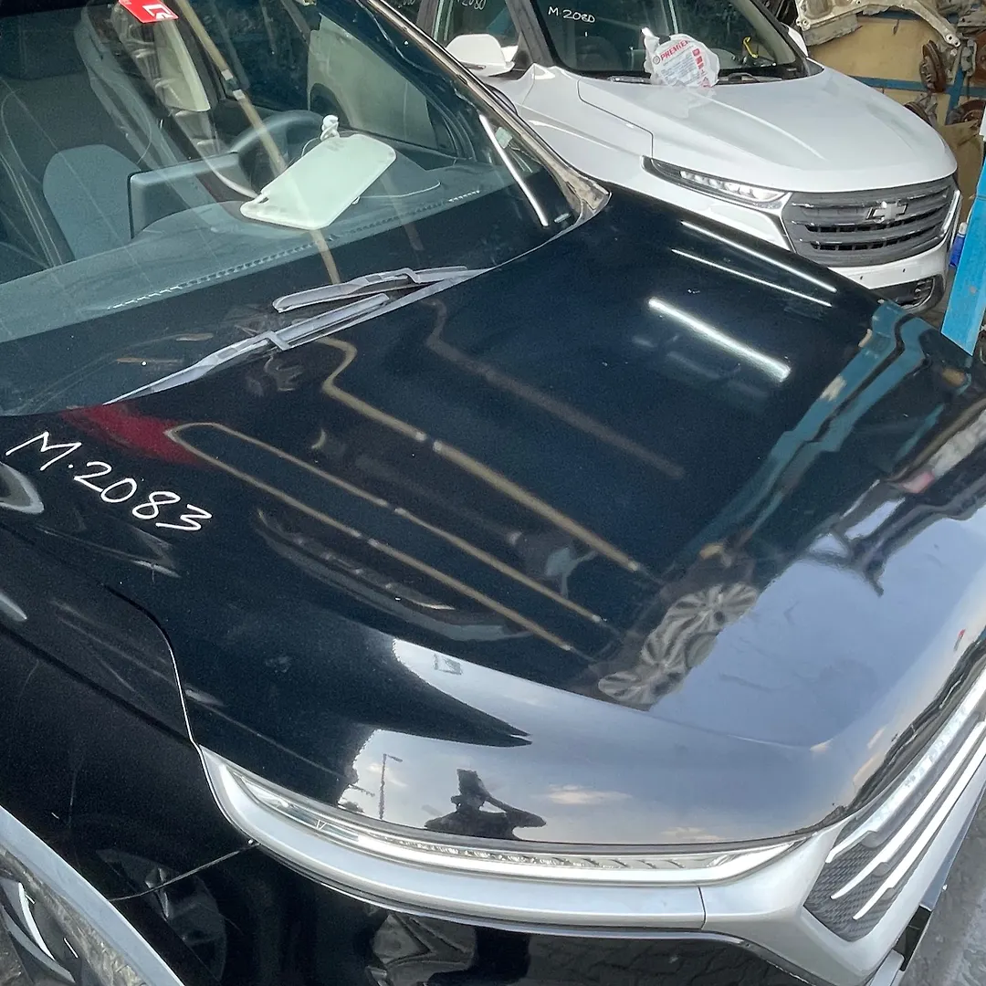 Hood/Bonnet - 2021 Chevrolet Captiva
