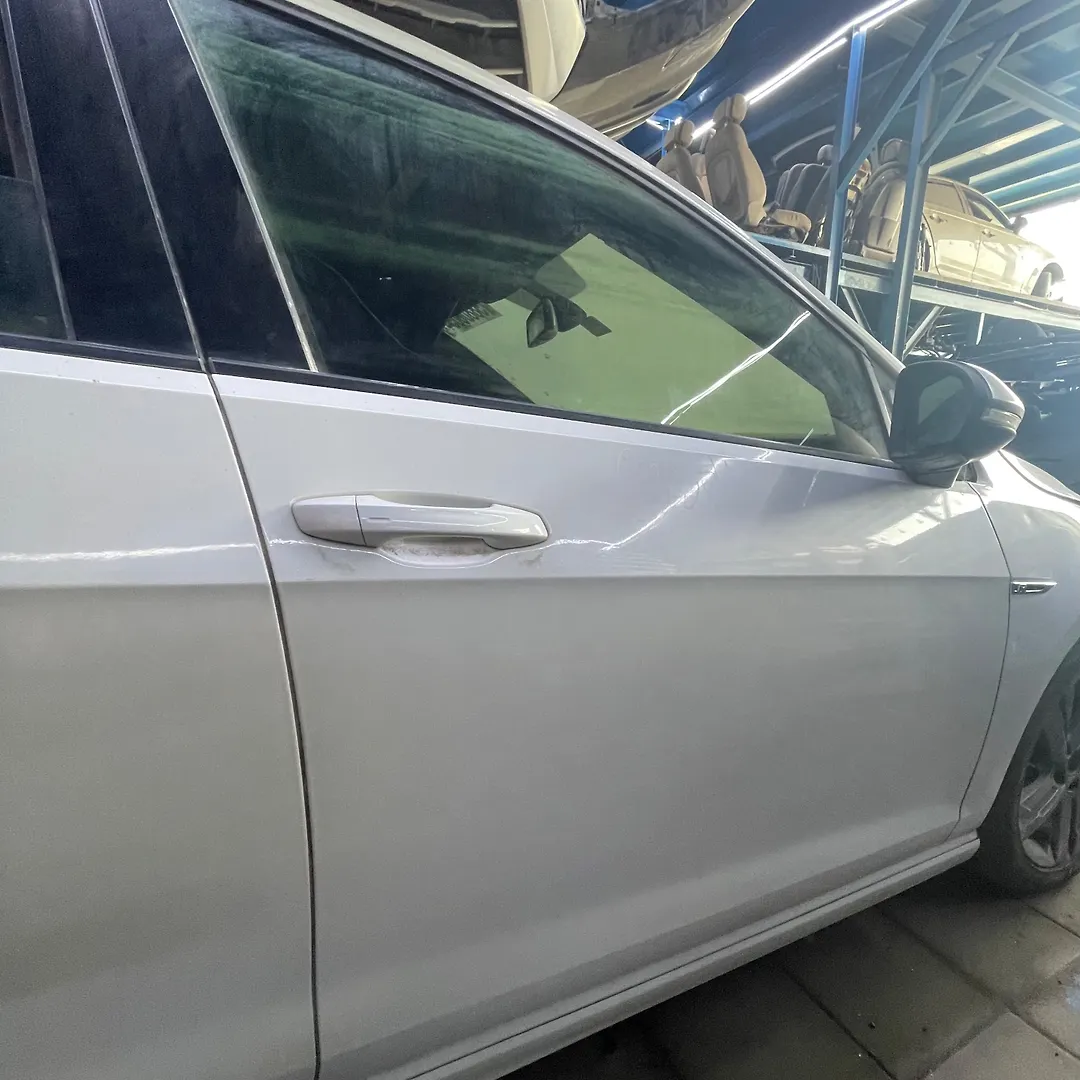 Door (RHF) - 2016 Volkswagen Golf R