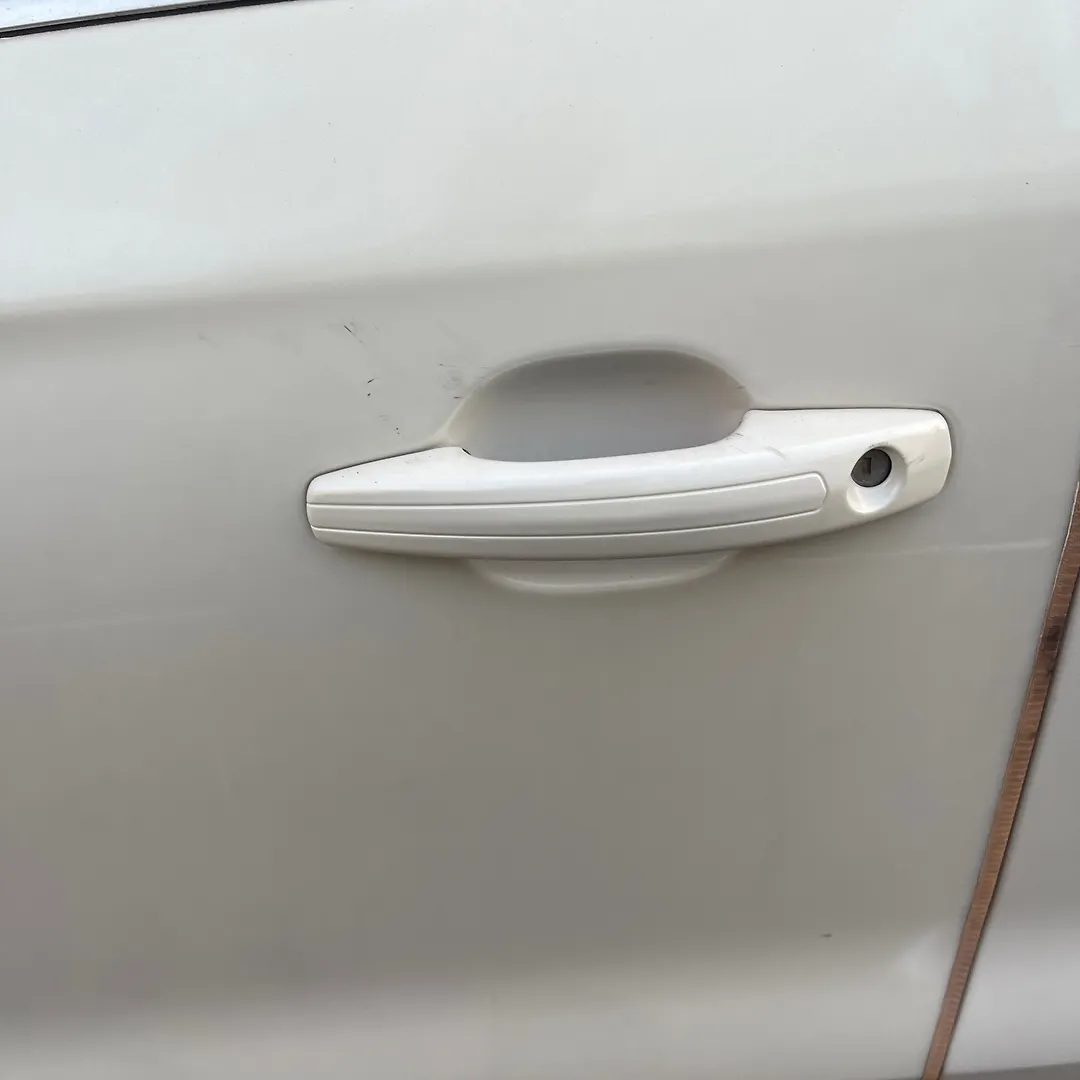 Door (LHF) - 2017 Lincoln MKC Select