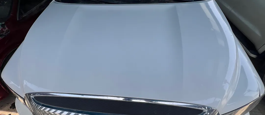 Hood/Bonnet - 2013 Toyota Sequoia