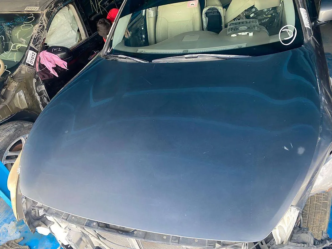 Hood/Bonnet - 2014 Infiniti QX70 3.7i