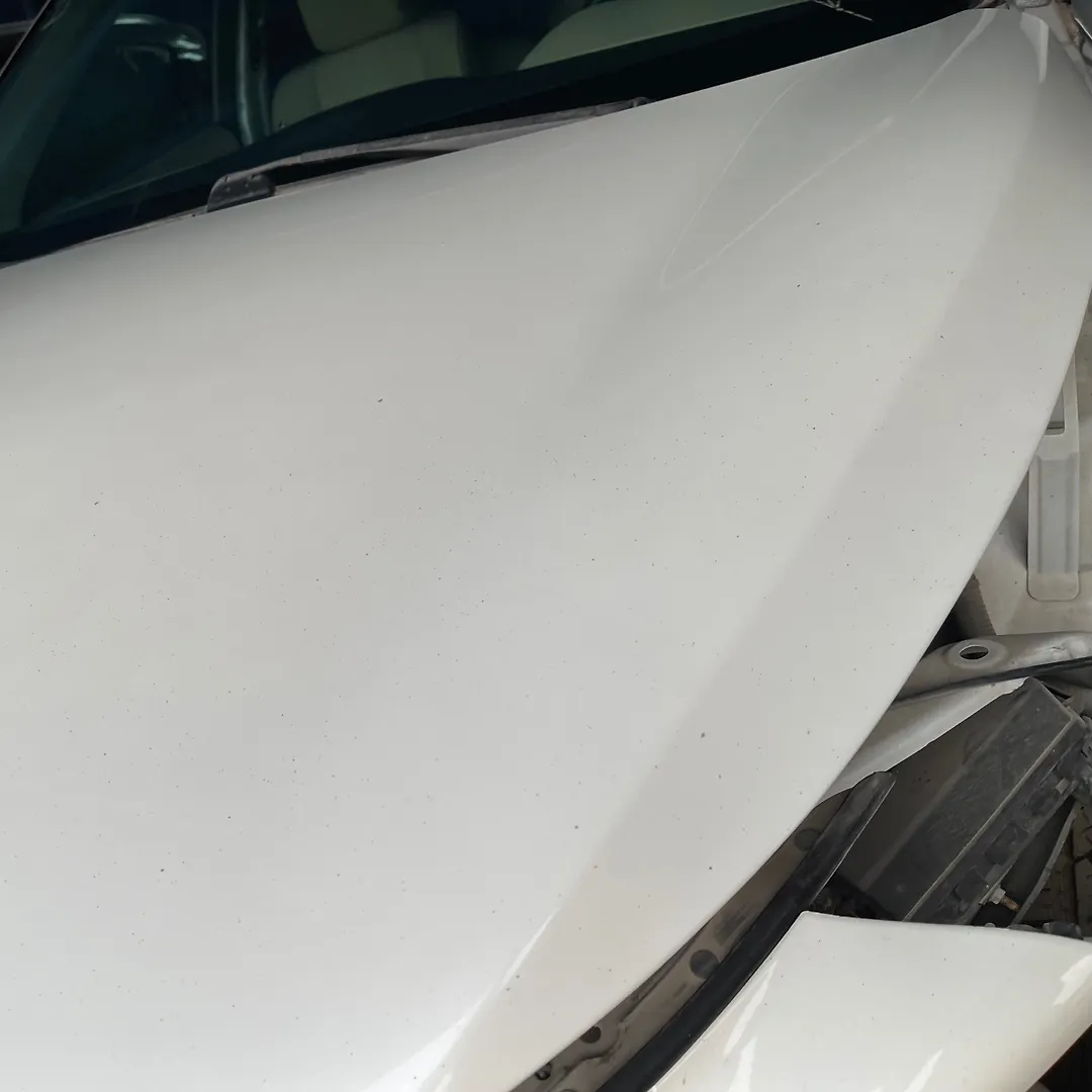 Hood/Bonnet - 2015 Infiniti QX60