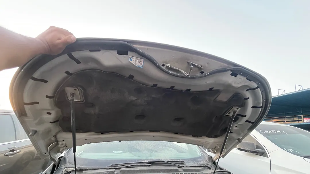 Hood/Bonnet - 2016 Ford Edge SE