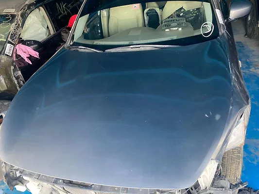Hood/Bonnet - 2014 Infiniti QX70 3.7i
