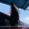 Side Mirror (RH) - 2014 Jeep GRAND CHEROKEE