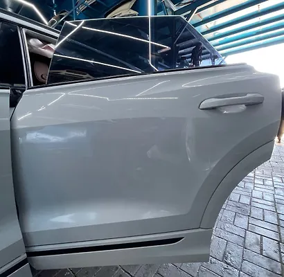 Door (LHB) - 2022 Audi Q8