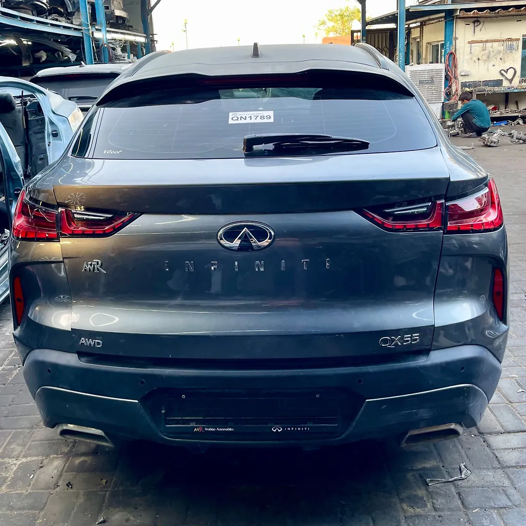 Trunk/hatch/tailgate - 2023 Infiniti QX55