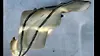 Wiper Water Bottle - 2009 Jeep Patriot