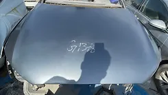 Hood/Bonnet - 2017 Audi Q3