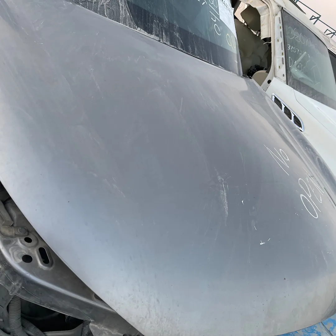Hood/Bonnet - 2013 Infiniti QX56