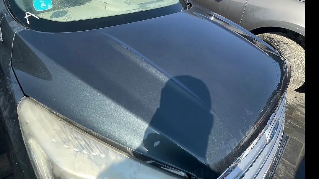 Hood/Bonnet - 2018 Ford Escape