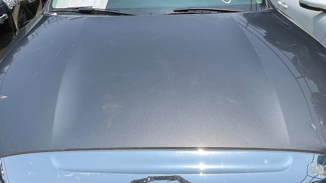 Hood/Bonnet - 2012 Toyota Sequoia UCK60L