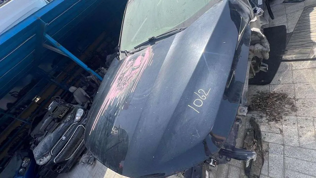 Hood/Bonnet - 2019 GMC Acadia