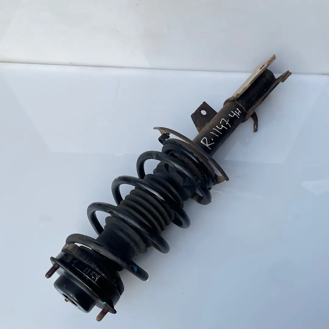 Shock Absorber (LHF) - 2017 Dodge Journey
