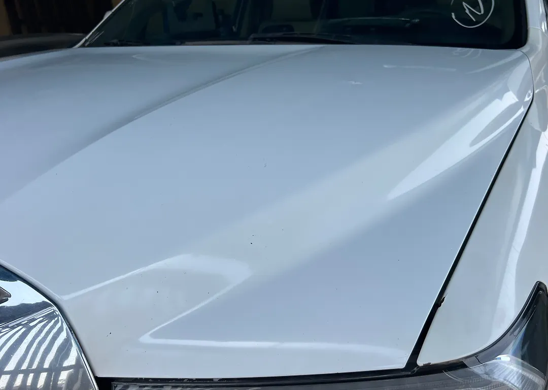 Hood/Bonnet - 2013 Toyota Sequoia