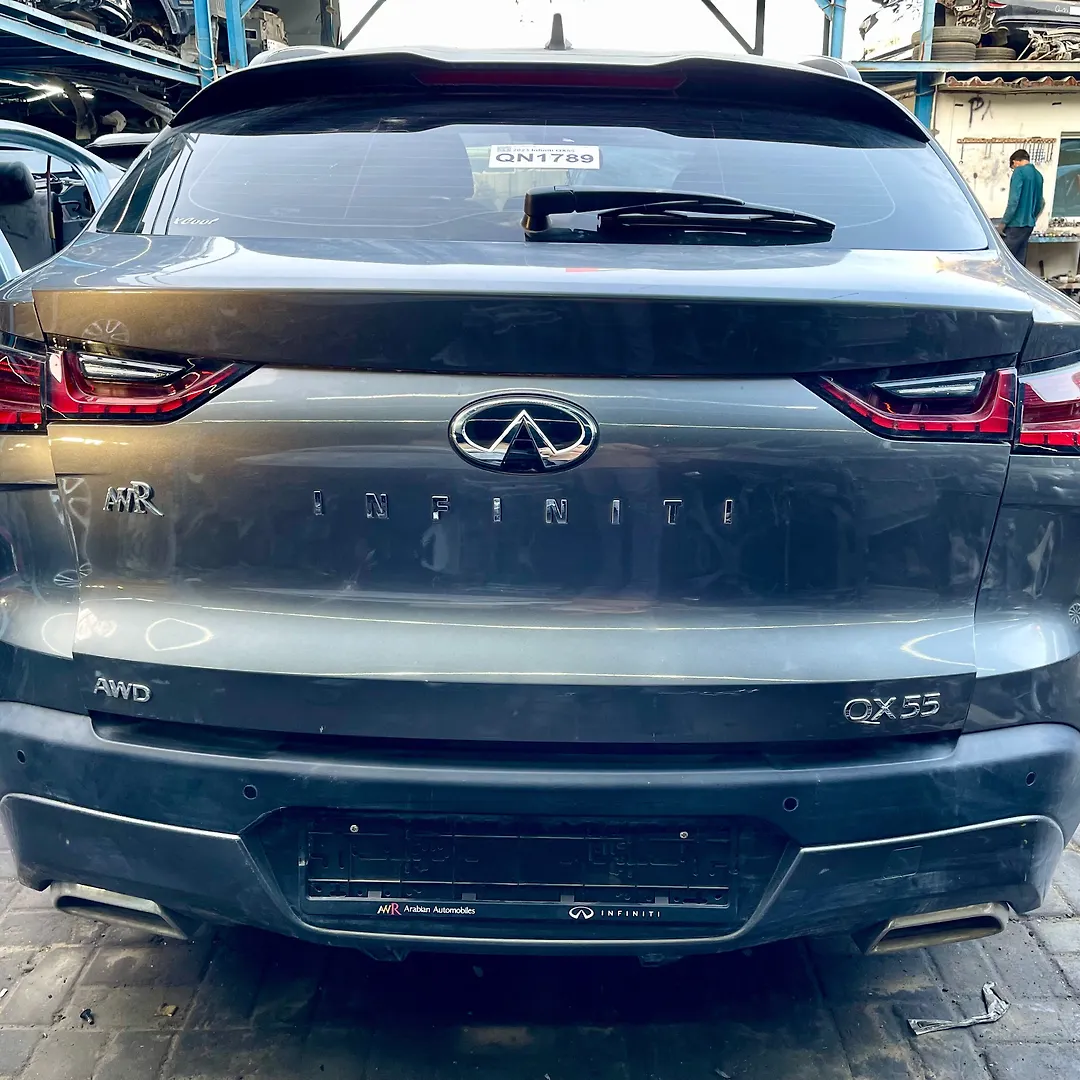 Trunk/hatch/tailgate - 2023 Infiniti QX55
