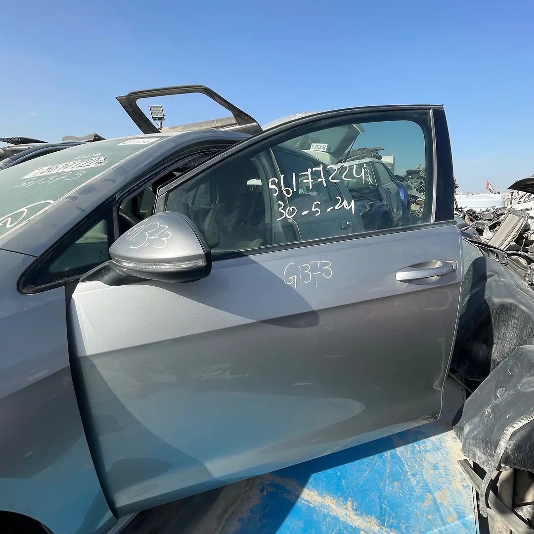 Door (LHF) - 2018 Volkswagen Golf