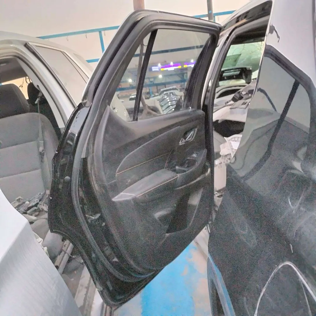 Door (LHB) - 2019 Chevrolet Traverse