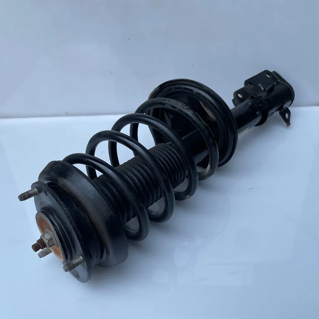 Shock Absorber (LHF) - 2009 Chevrolet Apica