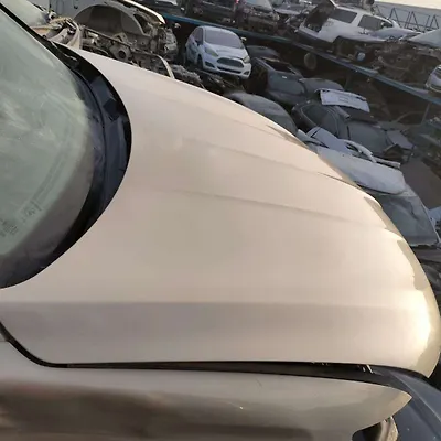 Hood/Bonnet - 2016 Lincoln MKX