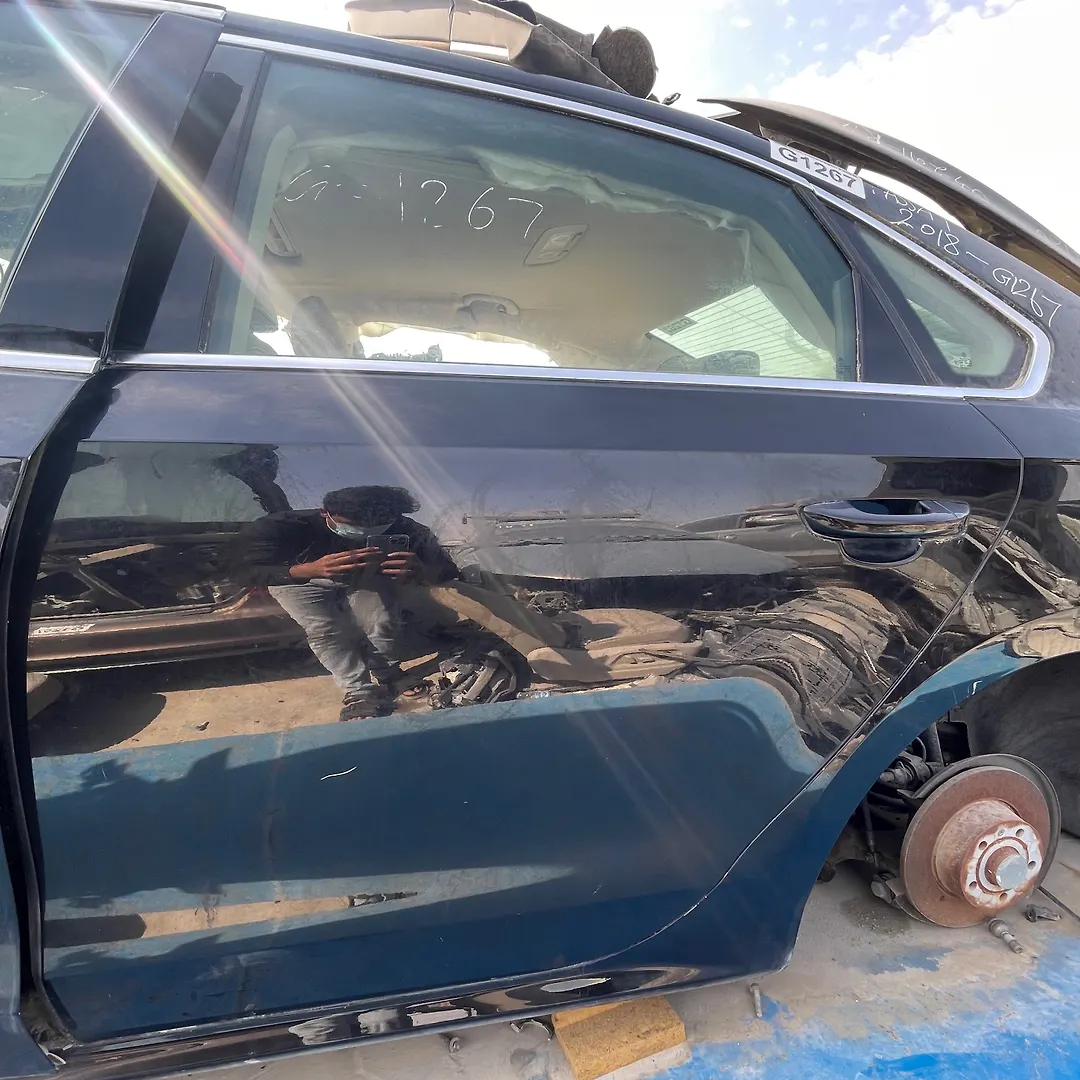 Door (LHB) - 2018 Volkswagen Passat