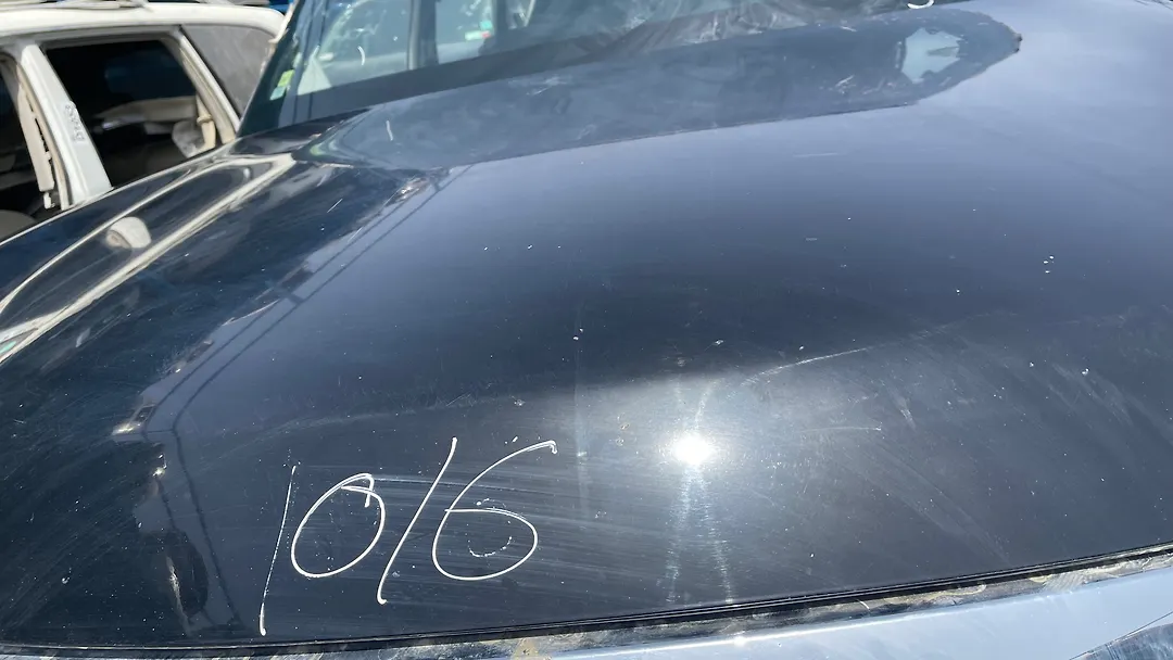 Hood/Bonnet - 2013 Infiniti QX56