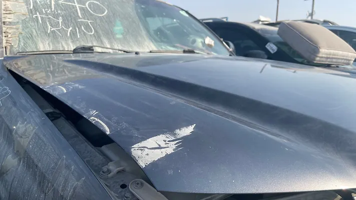 Hood/Bonnet - 2014 Toyota Tacoma Delux Grade