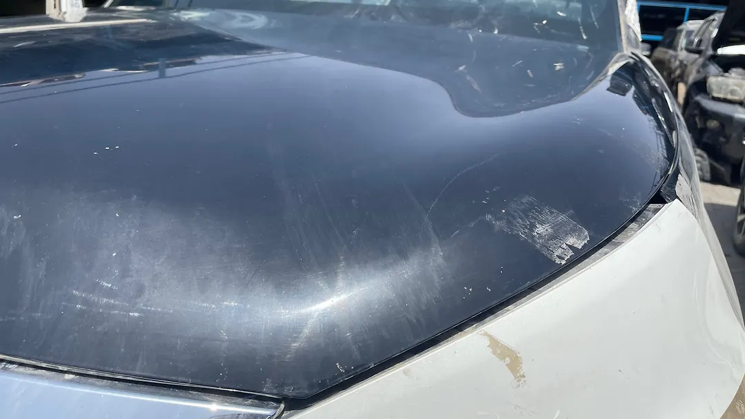 Hood/Bonnet - 2013 Infiniti QX56