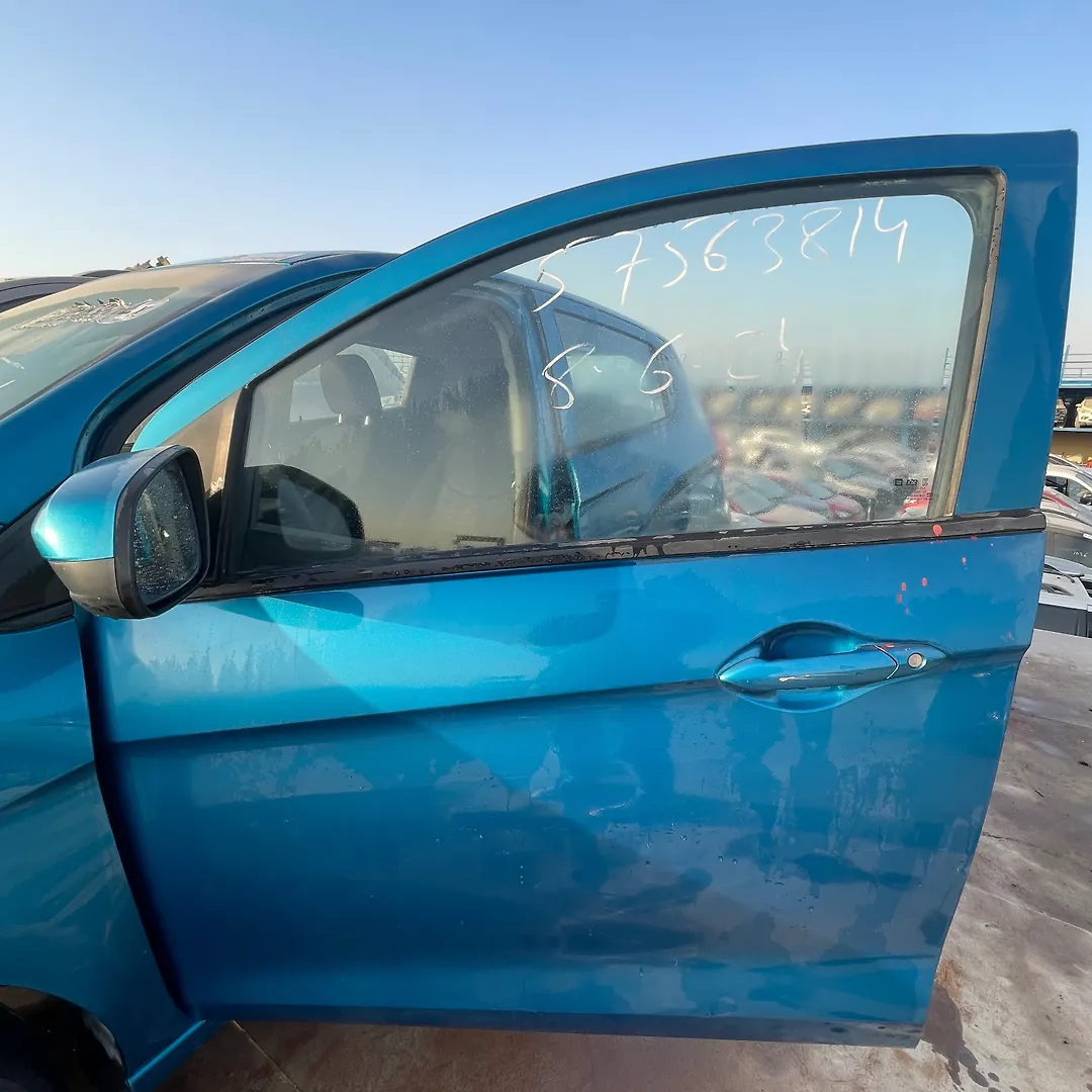 Door (LHF) - 2019 Chevrolet Spark
