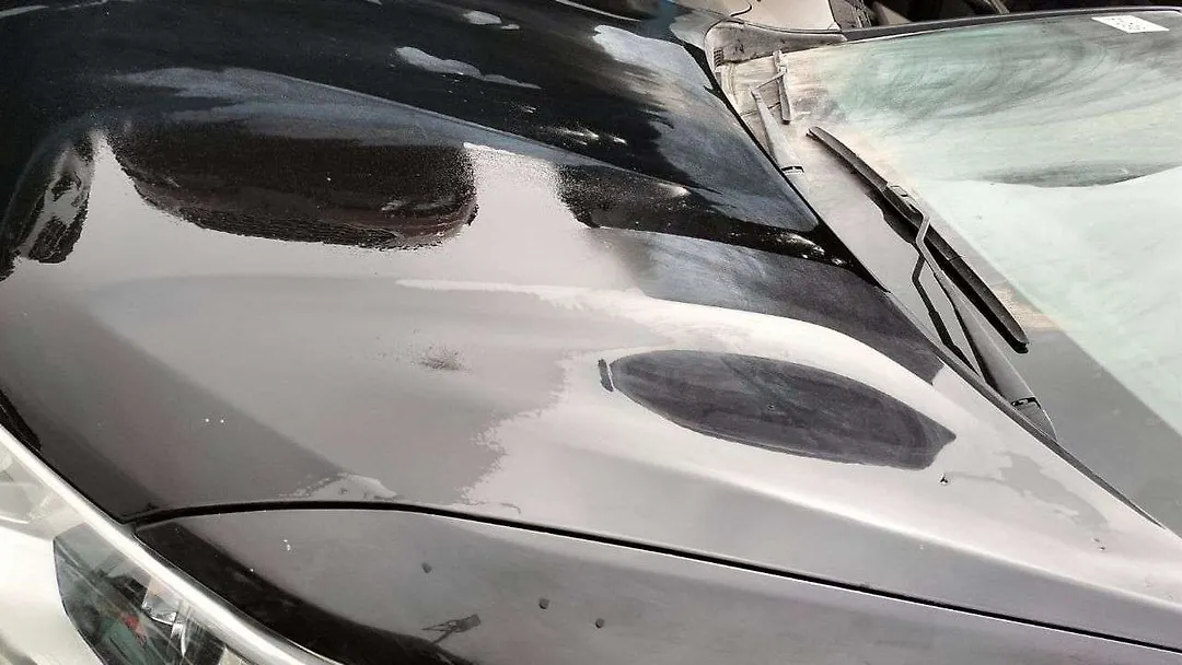 Hood/Bonnet - 2019 Chevrolet Traverse