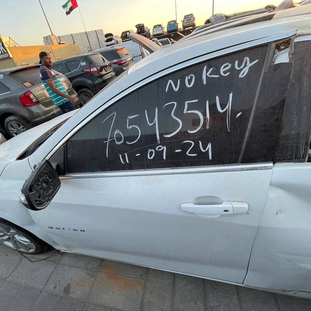 Door (LHF) - 2017 Chevrolet