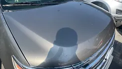 Hood/Bonnet - 2014 Ford Edge Limited