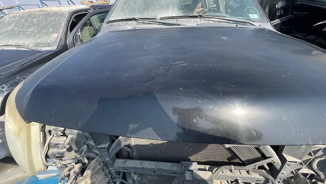 Hood/Bonnet - 2006 Nissan Armada