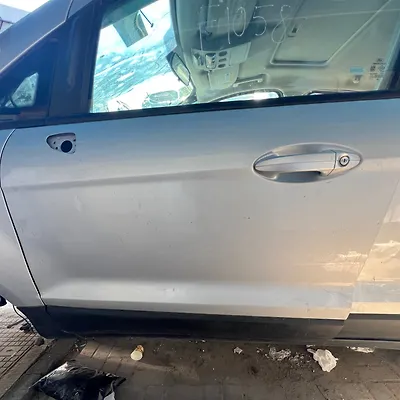 Door (LHF) - 2018 Ford EcoSport