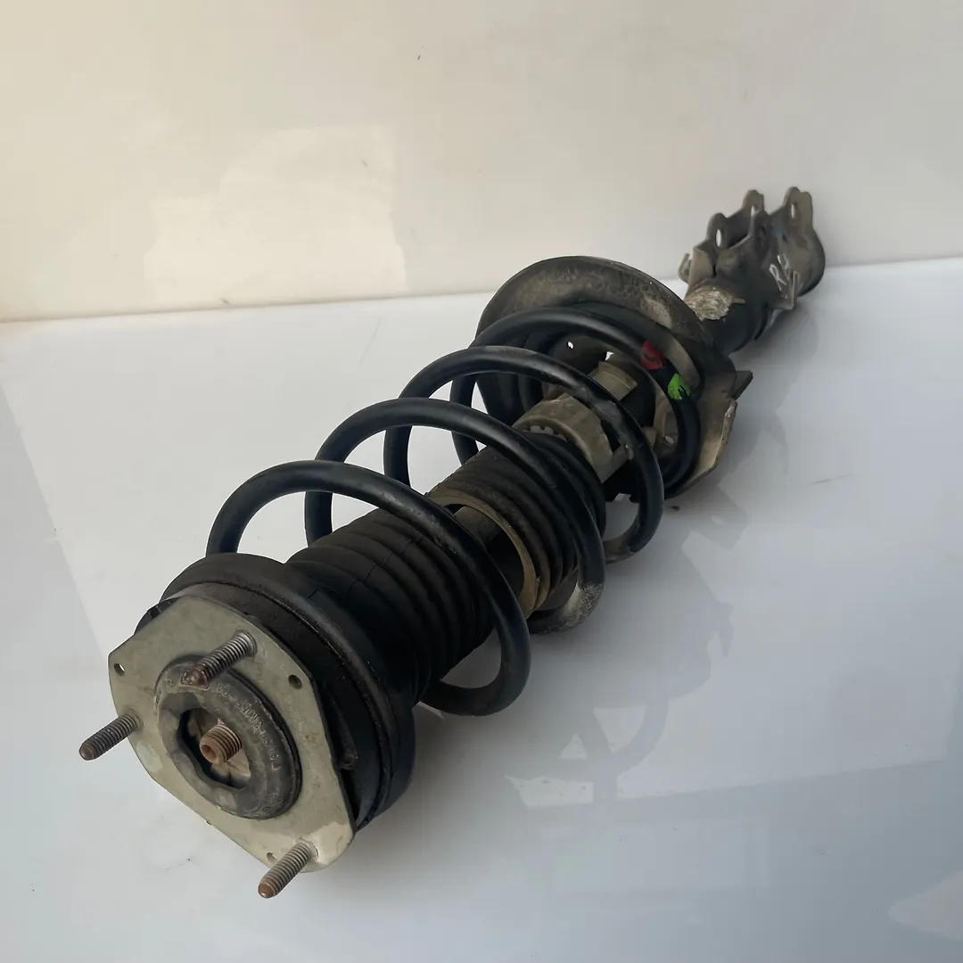 Shock Absorber (RHF) - 2013 Ford Taurus SEL