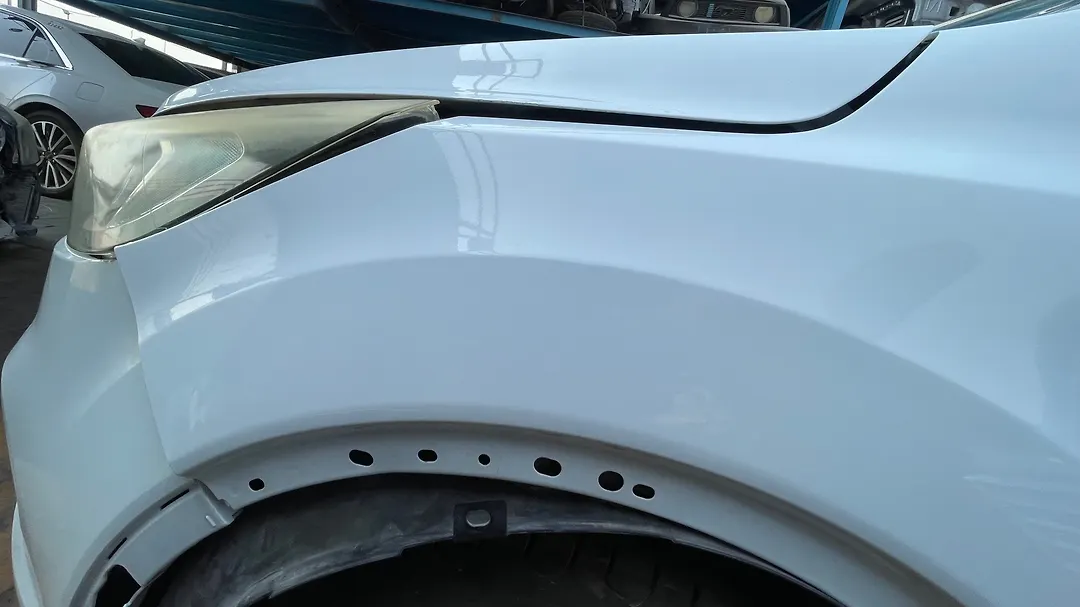 Fender (LHF) - 2019 Ford Escape