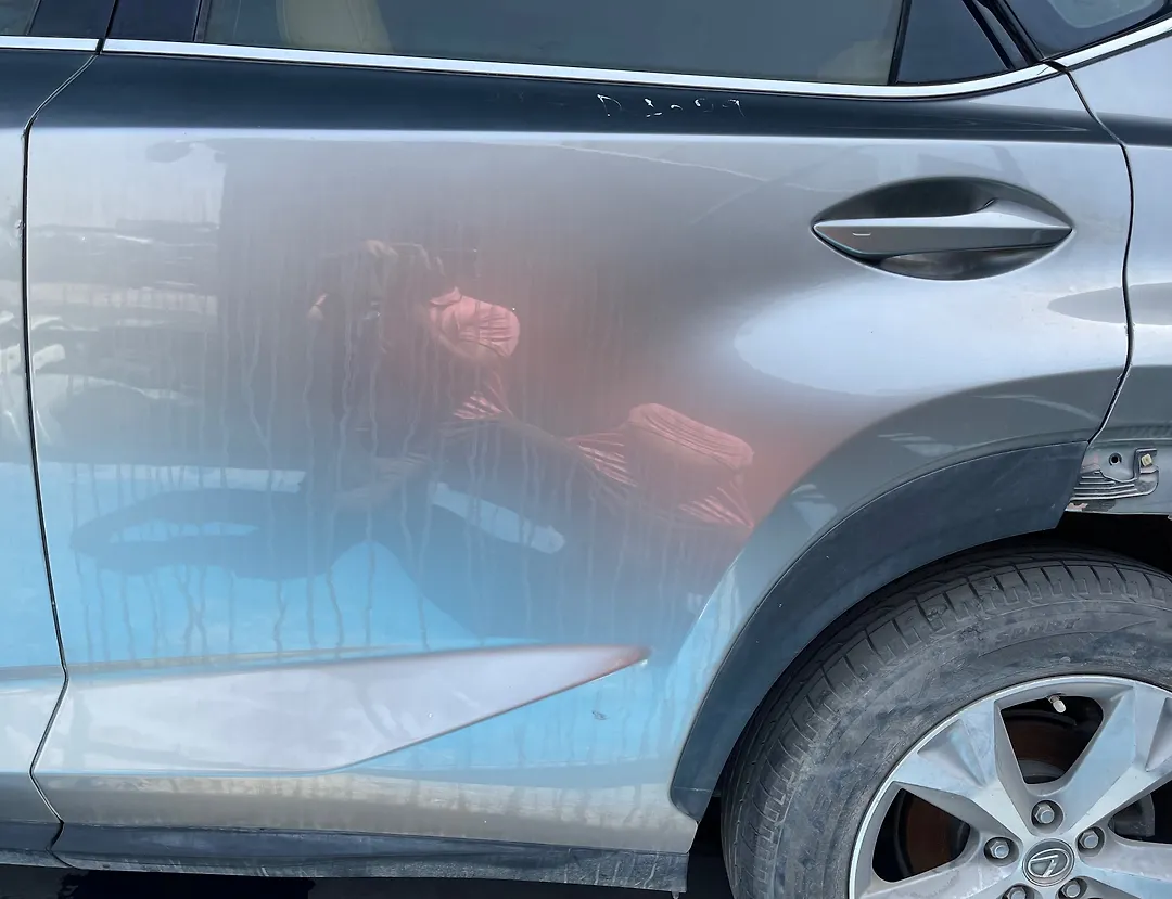 Door (LHB) - 2020 Lexus NX300