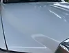 Hood/Bonnet - 2011 Toyota Sequoia