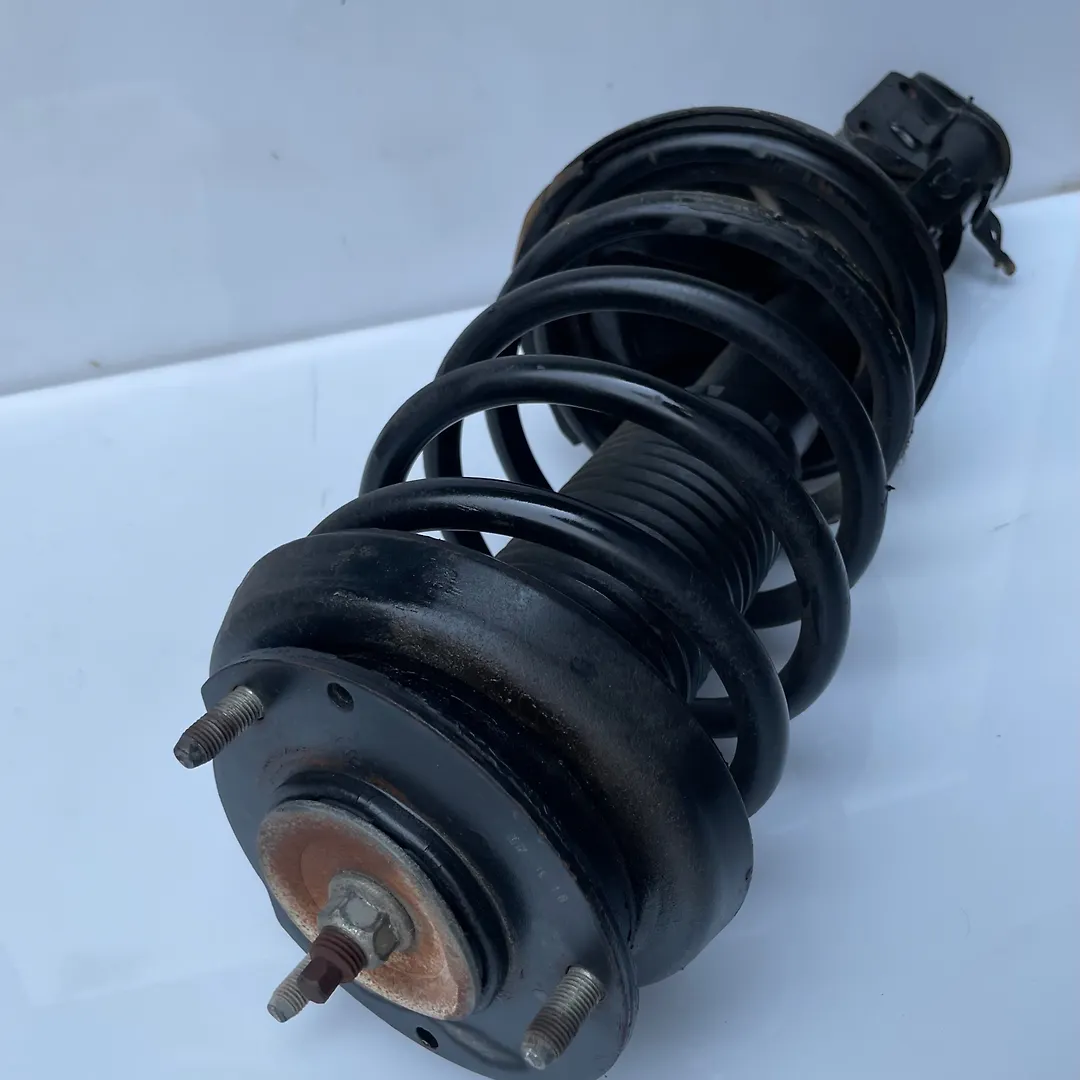 Shock Absorber (LHF) - 2009 Chevrolet Apica