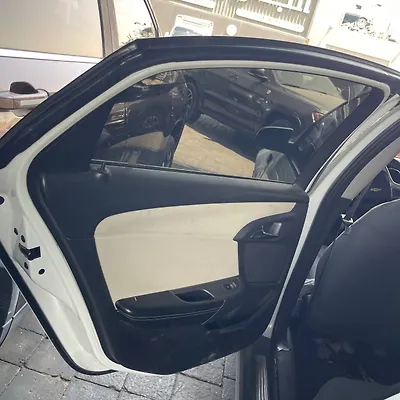 Door (LHB) - 2014 Chevrolet Caprice