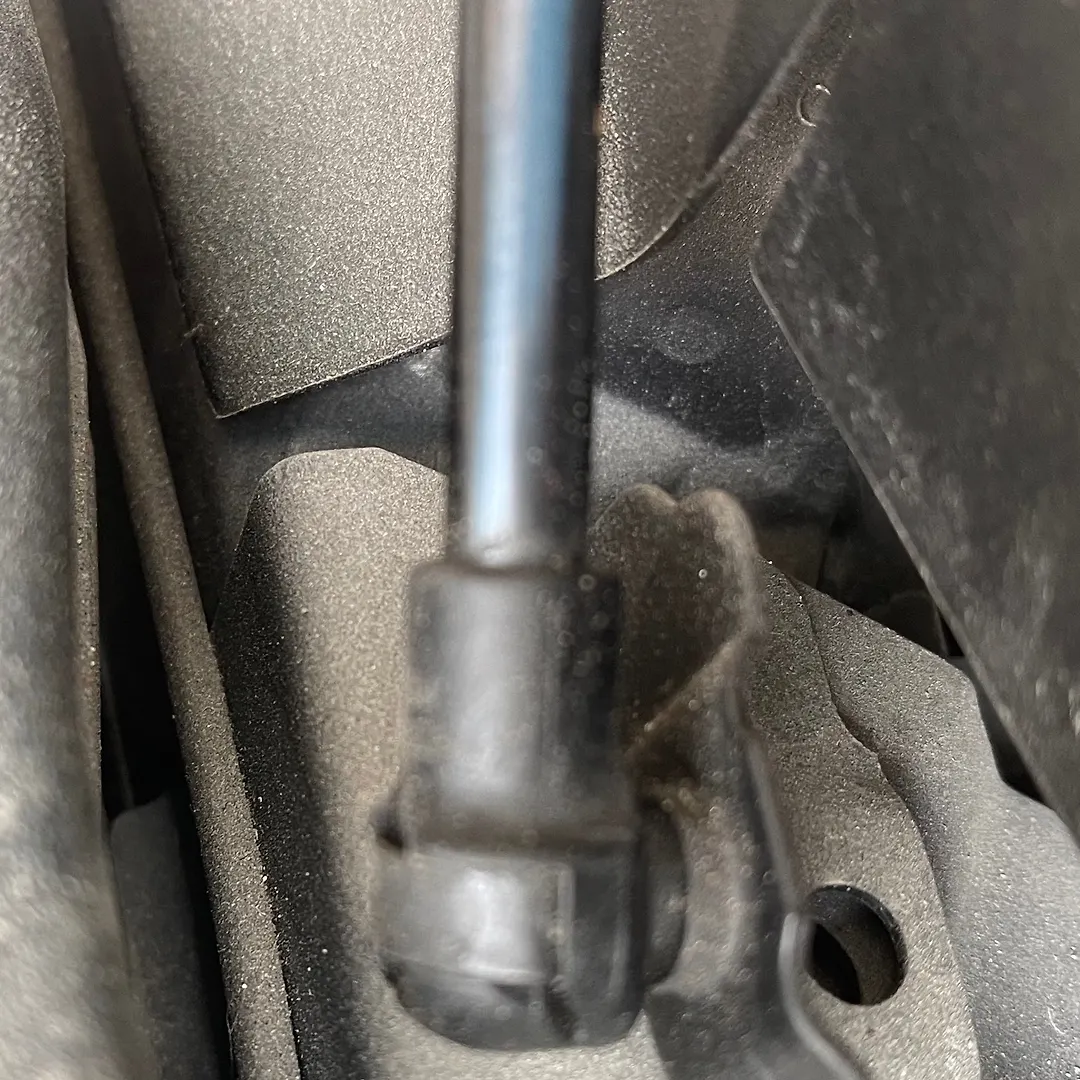 Bonnet Jumping - 2021 Lexus NX F Sport Comfort