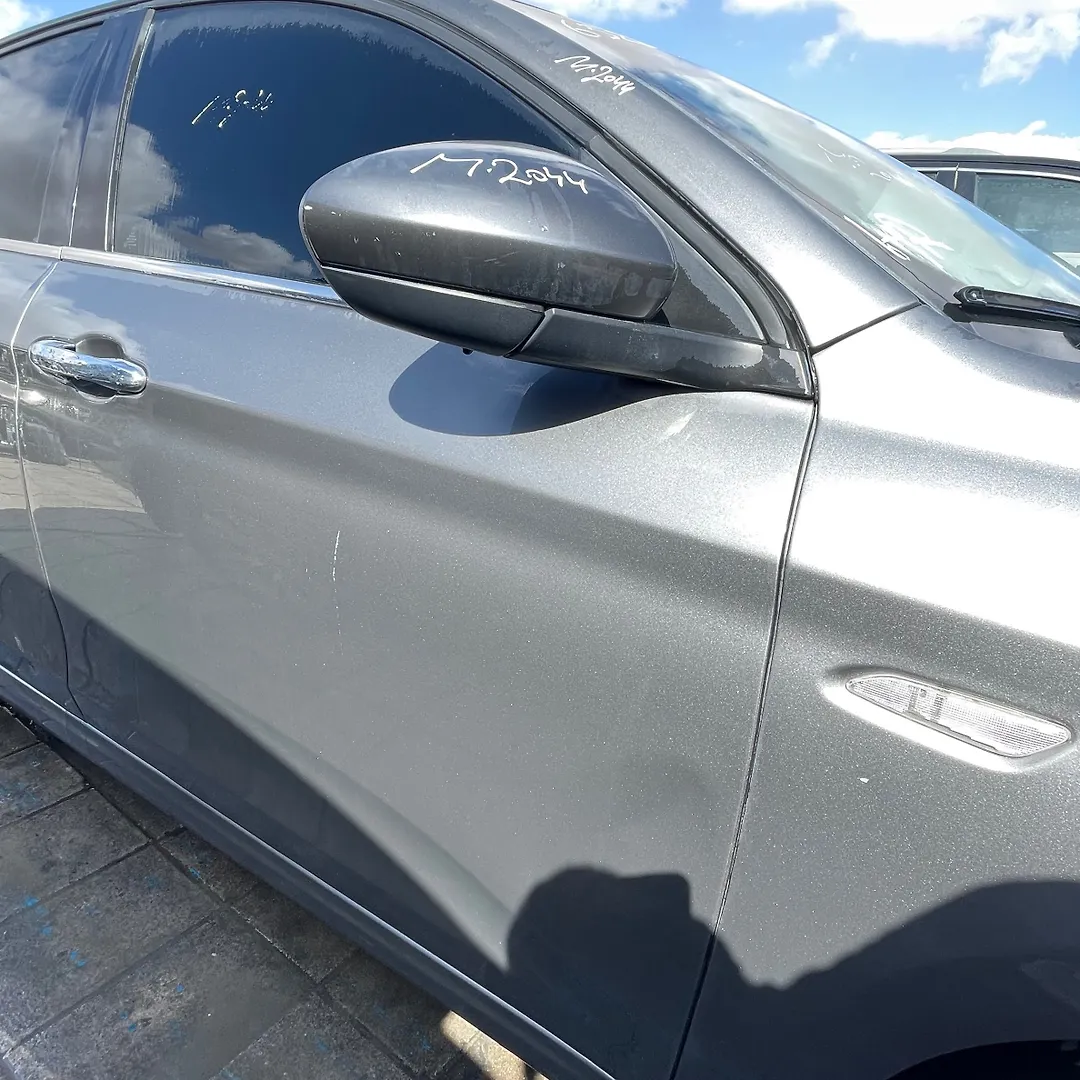 Door (RHF) - 2017 Dodge Neon