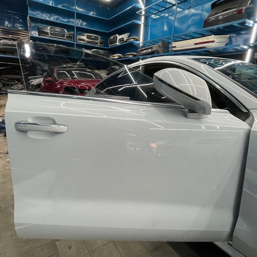Door (RHF) - 2017 Audi A7