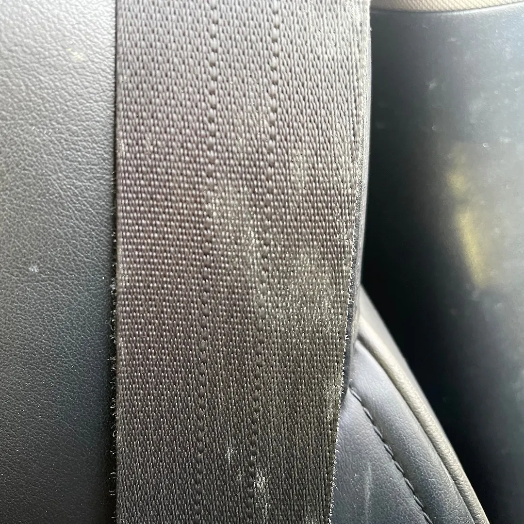Seat Belt (RHB) - 2011 Infiniti QX56