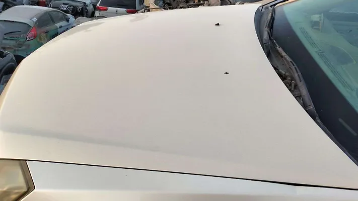 Hood/Bonnet - 2013 Cadillac CTS
