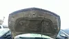 Hood/Bonnet - 2013 Chevrolet Traverse