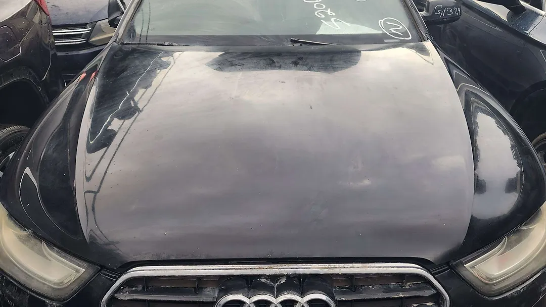 Hood/Bonnet - 2015 Audi A4 Quattro