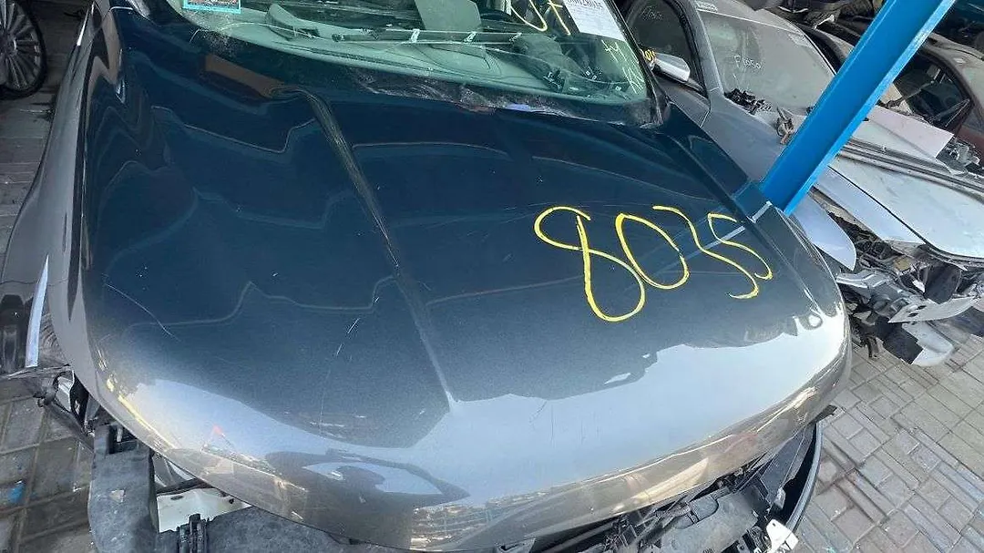 Hood/Bonnet - 2017 Ford Edge