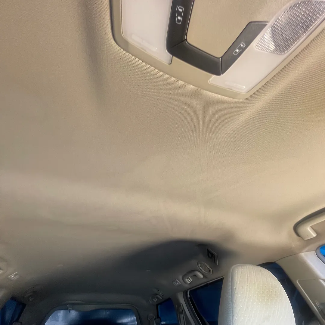 Roof Ceiling - 2017 Toyota Sienna LE